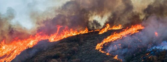 Maui Fires August 2023
