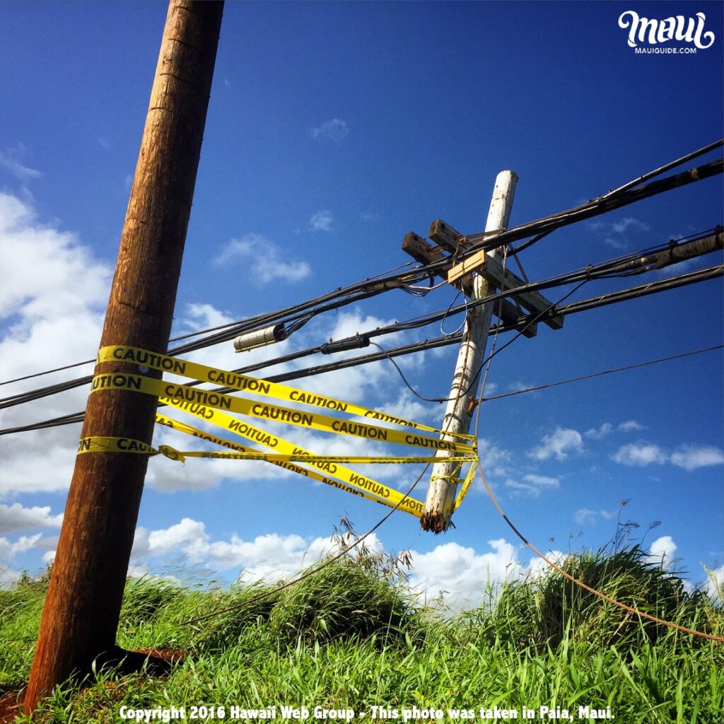 powerlines Maui fire