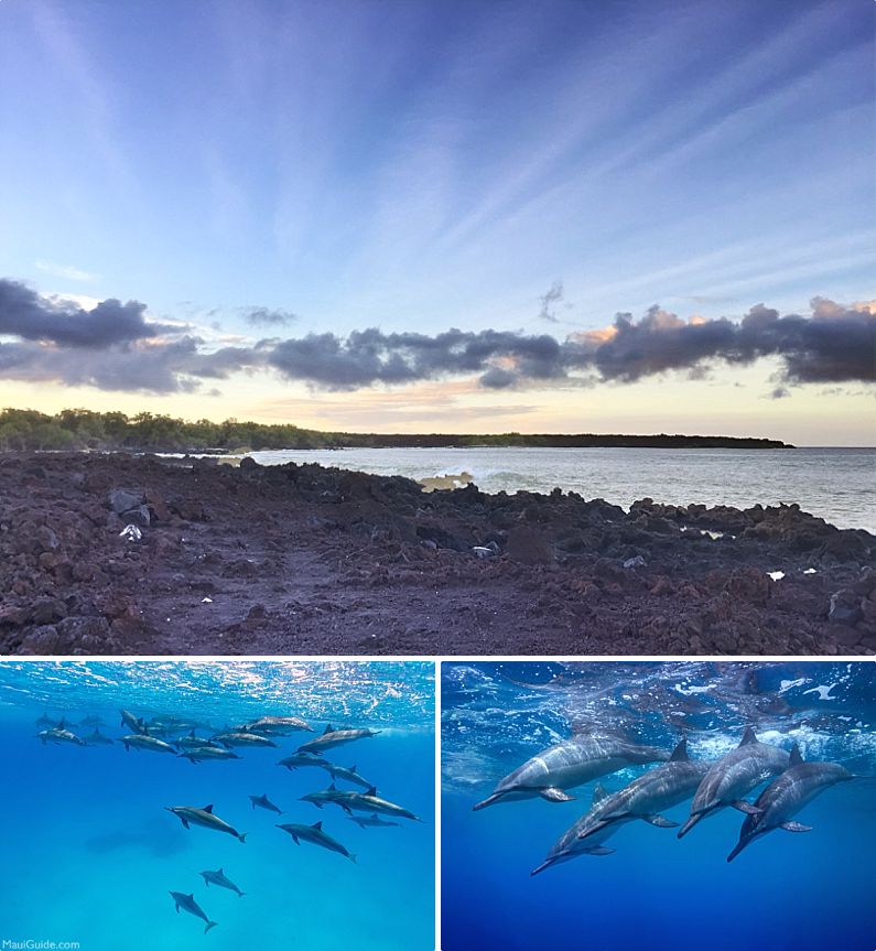 La Perouse Bay Morning