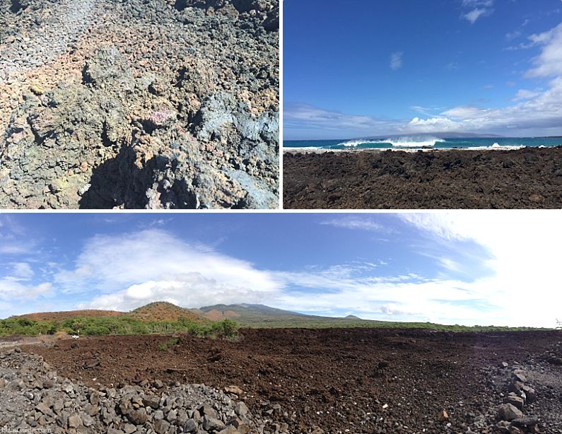 La Perouse Bay Sharp Lava