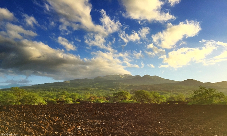 La Perouse Bay Mountain View