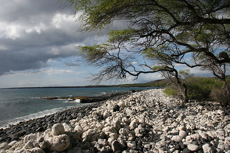 La Perouse Bay White Rock Beach