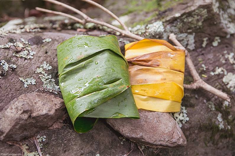 Hawaiian Ti Leaf Wrap