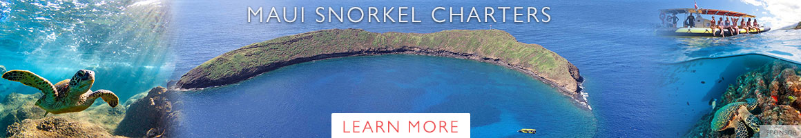 Maui Snorkel Charters