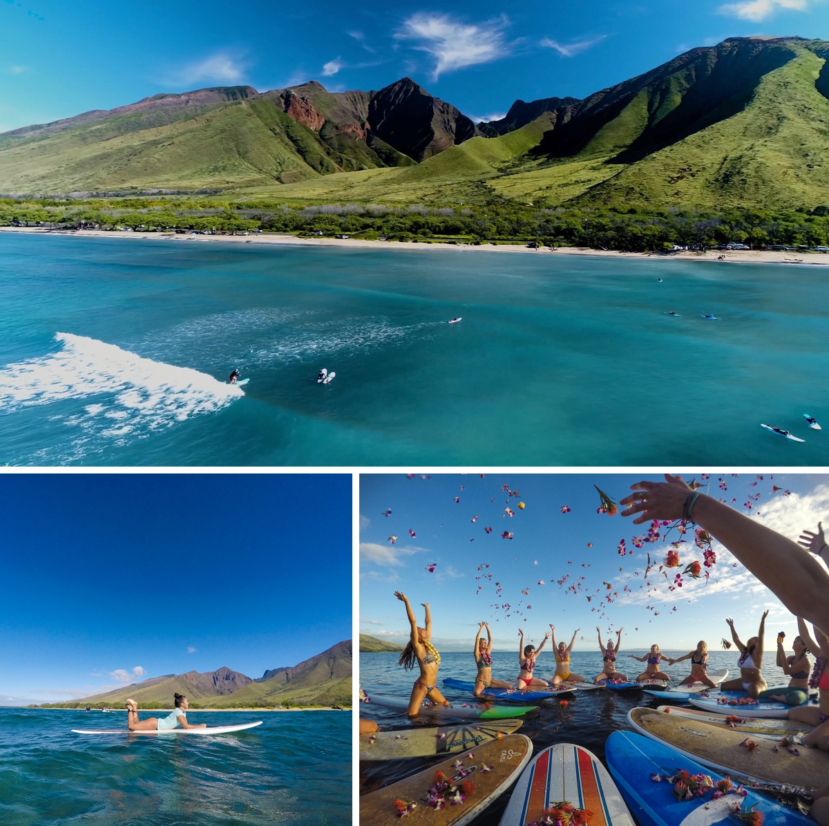 Maui surf camps